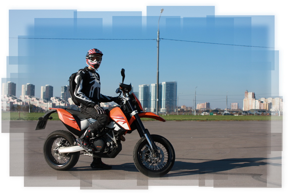 motard rule the world